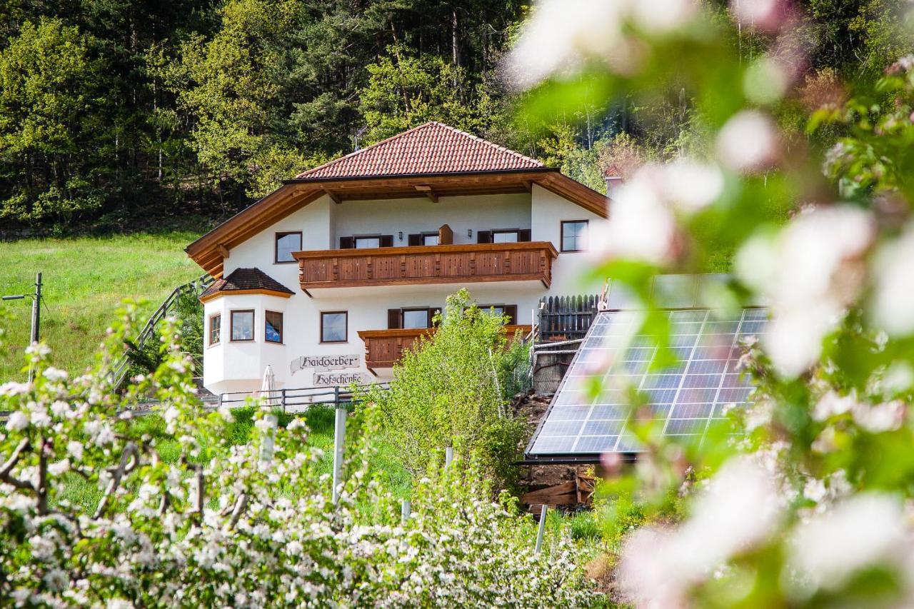 Haidgerberhof - Apartments & Homemade Food Longostagno Luaran gambar