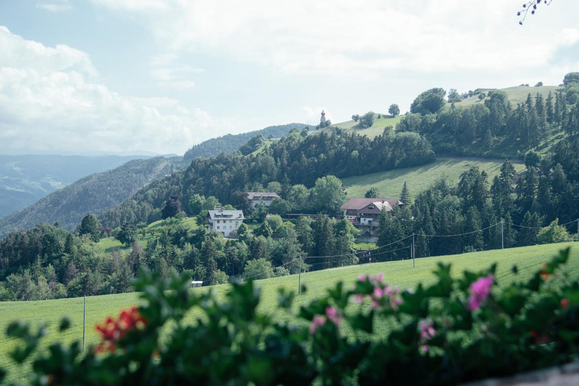 Haidgerberhof - Apartments & Homemade Food Longostagno Luaran gambar